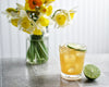 Gin Mule
